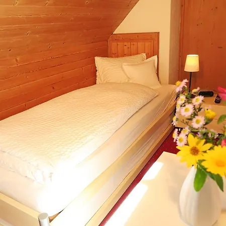 Restaurant Gabriel 酒店 施库尔